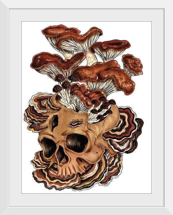 "Brown Mushroom", Marta Tesoro