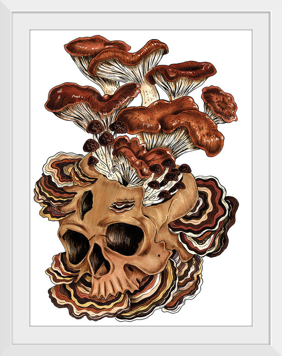 "Brown Mushroom", Marta Tesoro