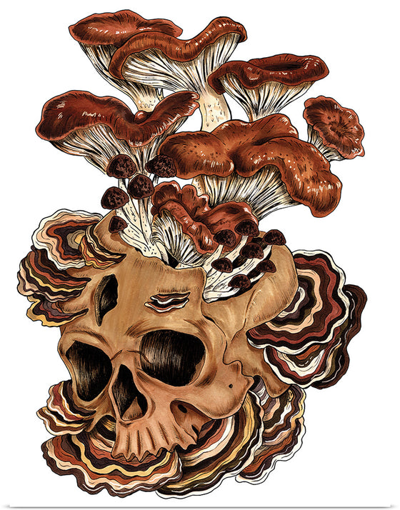 "Brown Mushroom", Marta Tesoro