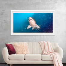  Dive into the enigmatic depths of the ocean with Victor Hawk’s mesmerizing artwork, “Underwater Animals – Shark 1”. This exquisite print captures the majestic and awe-inspiring presence of a shark, immortalized amidst the serene beauty of its natural habitat. The artist’s masterful use of color and light illuminates the shark’s graceful form, evoking a sense of mystery and wonder. 