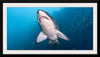 "Underwater Animals – Shark 2", Victor Hawk