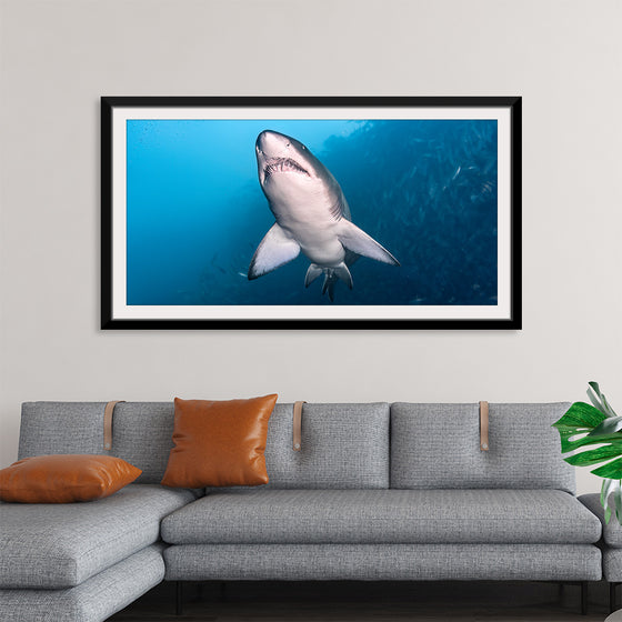 "Underwater Animals – Shark 2", Victor Hawk