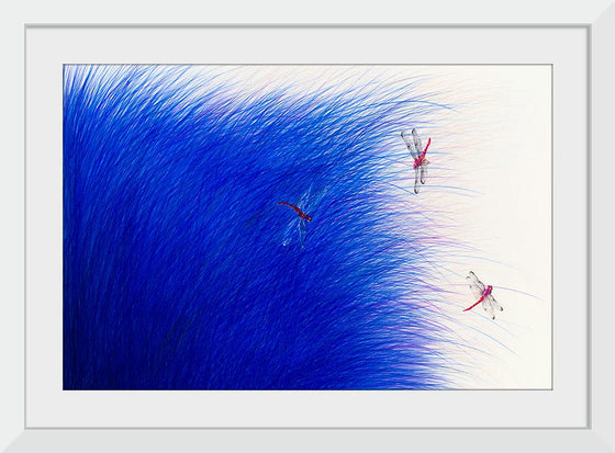 “Dragonflies in the Reeds“, Neis Wai