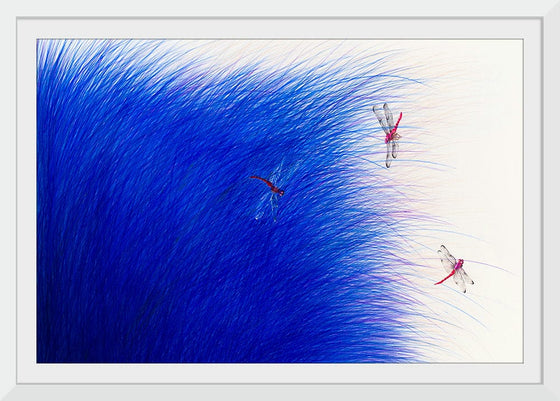 “Dragonflies in the Reeds“, Neis Wai