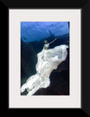 "Underwater Animals – An Ocean Bride 2", Victor Hawk