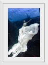 "Underwater Animals – An Ocean Bride 2", Victor Hawk