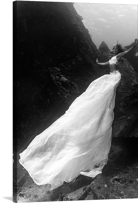 "Underwater Animals – An Ocean Bride 4", Victor Hawk