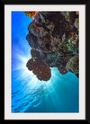 "Underwater Animals – GBR Corals 30", Victor Hawk