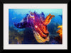 "Underwater Animals – Cuttlefish 2", Victor Hawk