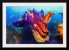 "Underwater Animals – Cuttlefish 2", Victor Hawk