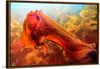 "Underwater Animals – Cuttlefish 4", Victor Hawk