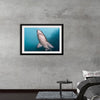 "Underwater Animals – Shark 3", Victor Hawk