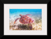 "Underwater Animals – Swimming Turtle", Victor Hawk