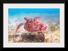 "Underwater Animals – Swimming Turtle", Victor Hawk