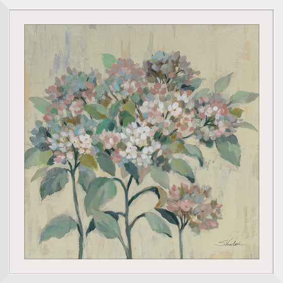 “Romantic-Hydrangeas“, Silvia Vassileva