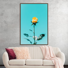  “Burst of Yellow” is a striking print that captures the radiant beauty of a single yellow rose in full bloom. Set against a contrasting turquoise background, the vibrant yellow petals of the rose stand out, embodying the warmth and elegance of nature’s artistry. The darkened green leaves and stem beneath the blossom add depth to the image, enhancing its visual appeal. 