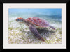 "Underwater Animals – Swimming Turtle 5", Victor Hawk