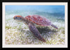 "Underwater Animals – Swimming Turtle 5", Victor Hawk