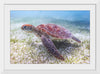 "Underwater Animals – Swimming Turtle 5", Victor Hawk