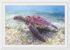 "Underwater Animals – Swimming Turtle 5", Victor Hawk