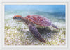 "Underwater Animals – Swimming Turtle 5", Victor Hawk