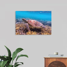  Dive into the serene beauty of Victor Hawk’s masterpiece, “Underwater Animals – Swimming Turtle 7”. This exquisite print captures the graceful journey of a sea turtle navigating through a vibrant underwater landscape. Every detail, from the intricate patterns on the turtle’s shell to the lush, colorful coral gardens, is rendered with stunning clarity and artistic finesse. The artwork invites viewers into a world where nature’s intricate beauty is in harmonious display. 