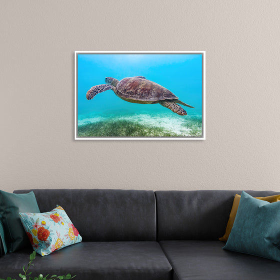 "Underwater Animals – Swimming Turtle 8", Victor Hawk