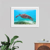 "Underwater Animals – Swimming Turtle 8", Victor Hawk