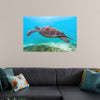 "Underwater Animals – Swimming Turtle 8", Victor Hawk