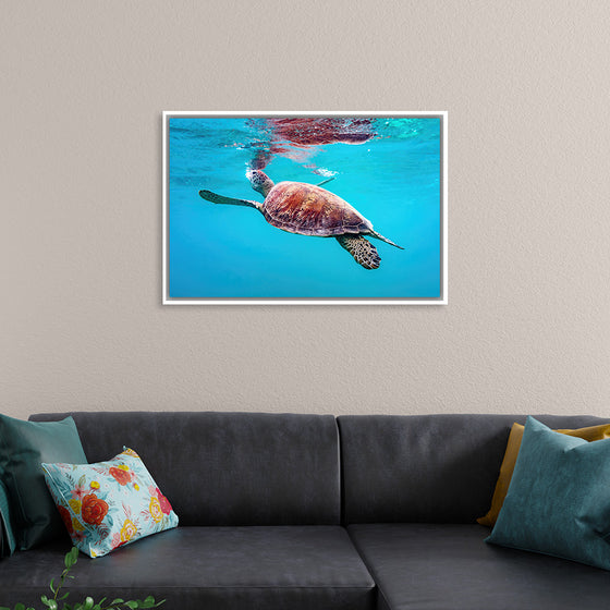 "Underwater Animals – Swimming Turtle 9", Victor Hawk