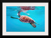 "Underwater Animals – Swimming Turtle 9", Victor Hawk