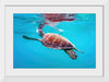 "Underwater Animals – Swimming Turtle 9", Victor Hawk