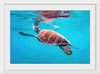 "Underwater Animals – Swimming Turtle 9", Victor Hawk