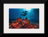 "Underwater Animals – Divers Above the Corals", Victor Hawk