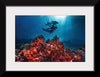 "Underwater Animals – Divers Above the Corals", Victor Hawk