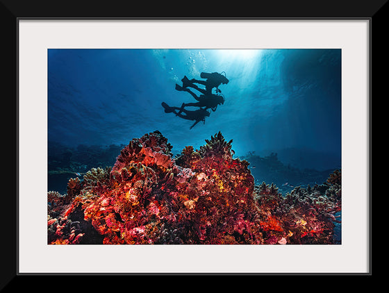 "Underwater Animals – Divers Above the Corals", Victor Hawk