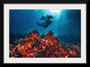 "Underwater Animals – Divers Above the Corals", Victor Hawk