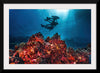 "Underwater Animals – Divers Above the Corals", Victor Hawk