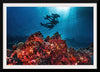 "Underwater Animals – Divers Above the Corals", Victor Hawk