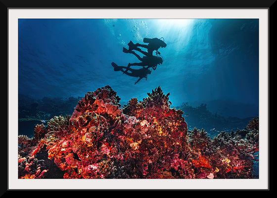 "Underwater Animals – Divers Above the Corals", Victor Hawk