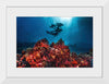 "Underwater Animals – Divers Above the Corals", Victor Hawk