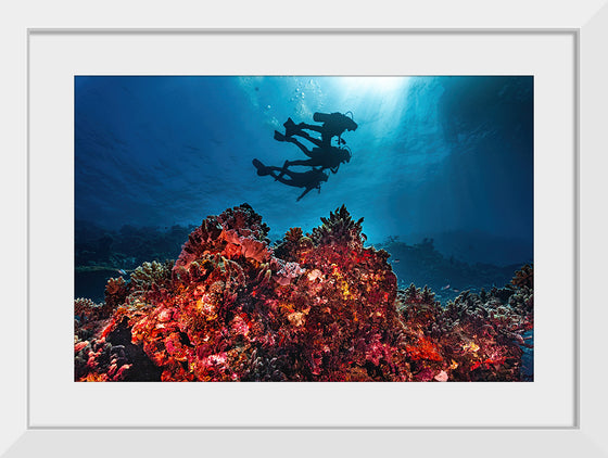 "Underwater Animals – Divers Above the Corals", Victor Hawk