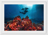 "Underwater Animals – Divers Above the Corals", Victor Hawk