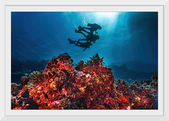 "Underwater Animals – Divers Above the Corals", Victor Hawk