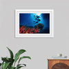 "Underwater Animals – Divers Above the Corals 2", Victor Hawk