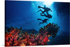 "Underwater Animals – Divers Above the Corals 2", Victor Hawk