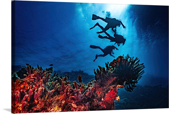 "Underwater Animals – Divers Above the Corals 2", Victor Hawk