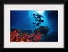 "Underwater Animals – Divers Above the Corals 2", Victor Hawk