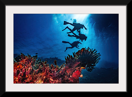 "Underwater Animals – Divers Above the Corals 2", Victor Hawk