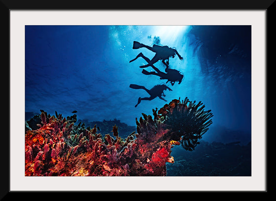 "Underwater Animals – Divers Above the Corals 2", Victor Hawk